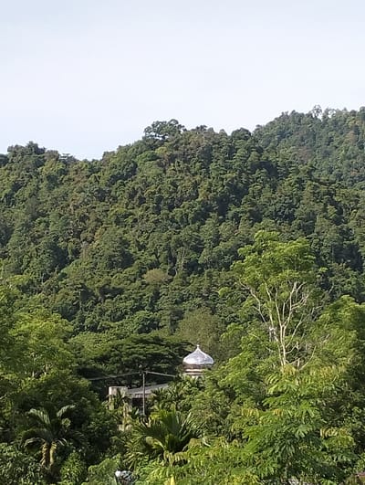 The image depicts a dense, green landscape in Pulot, Indonesia, dominated by a lush hillside covered in trees. In the foreground, various trees and plants obscure a structure with a silver dome, likely a mosque or similar religious building. Power lines are visible running above the building. The sky is overcast.