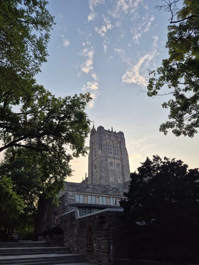 This is a vertical, eye-level, outdoor, low-angle photograph taken in Princeton, United States of America. The image features a Gothic Revival style stone building with a prominent tower, framed by lush green trees. The sky above is a light blue with scattered white clouds. The building's facade is constructed of grey stone blocks, with arched windows and decorative architectural details. The tower is tall and rectangular, topped with crenellations and a spire. In the foreground, there are stone steps leading up to the building, and a stone wall with an arched recess. The trees on either side of the frame are dense with green leaves, and their branches extend into the upper portion of the image, creating a natural frame for the building. The lighting suggests it is either early morning or late afternoon, with the sun low in the sky. There are no people or animals visible in the scene.