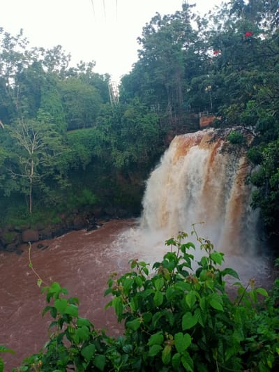 The image shows a waterfall with reddish-brown water in Mugumo-ini Ward, Kenya. The waterfall cascades down a rocky cliff into a pool of the same colored water. Lush green vegetation surrounds the falls, with trees lining the top and sides. In the background, parts of a metallic structure resembling a walkway or railing are visible above the waterfall. Some electrical cables can be seen in the upper left. The foreground features verdant foliage, partially obscuring the view of the water.