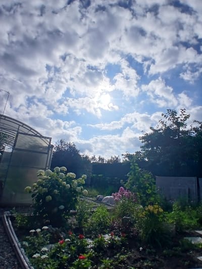 This is an outdoor, eye-level, vertical-format, natural light, daytime photograph of a garden in Maslova Pristan', Russia. The sky is filled with bright white and grey clouds against a vibrant blue background, with the sun partially obscured by clouds in the upper center of the frame. A greenhouse with a metal frame and transparent plastic siding is visible on the left side of the image. In the foreground, a variety of flowers are in bloom, including white hydrangeas in the middle ground, and smaller white, red, and pink flowers in the foreground. Lush green foliage and trees form a backdrop, with a dark fence line visible in the distance. The garden appears to be well-maintained.
