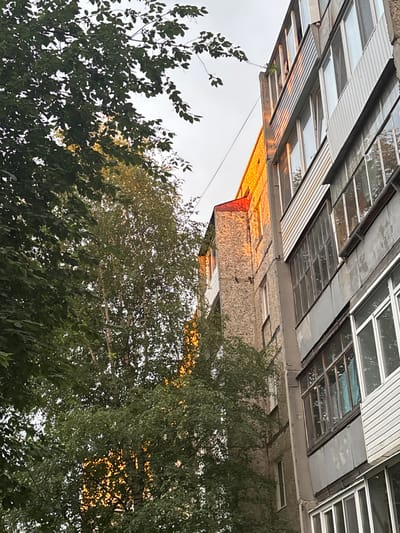 The image depicts an outdoor scene, oriented such that the sky is at the bottom and the ground is at the top, suggesting it was taken looking upwards. The main subject is a building with a textured concrete facade, possibly an apartment building, featuring a series of windows and what appear to be balconies or overhangs with corrugated metal sheeting and glass panels. Some of these panels are reflective and show the sky or surrounding foliage. Sunlight, likely from a setting or rising sun, casts a warm, golden-orange glow on the lower portion of the building and reflects off the metal and glass elements.

In the foreground and surrounding the building are lush green trees with dense foliage. The leaves are a vibrant green, and some areas show the warm light filtering through, creating dappled patterns. The sky is a pale, overcast grey, indicating a cloudy day or twilight conditions.

There is no visible text in the image. The time of day is suggested to be either sunrise or sunset due to the quality of light. The presence of trees and the architectural style of the building hint at an urban or suburban setting, consistent with the provided location context of Nevyansk, Russia. The overall mood is somewhat serene, with the interplay of natural light and the built environment.