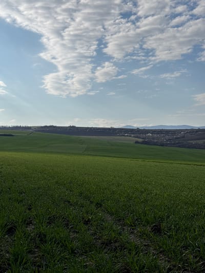The image depicts a landscape scene near Kiosevtsi, Bulgaria. The left side of the frame is dominated by a bright blue sky filled with scattered white clouds. Adjacent to the sky is a strip of mountainous terrain, and the right side of the image shows a vast expanse of green fields, possibly crops. The perspective suggests the photo was taken at ground level, looking upwards. The fields appear to be densely vegetated. No people, specific objects, or actions are visible.