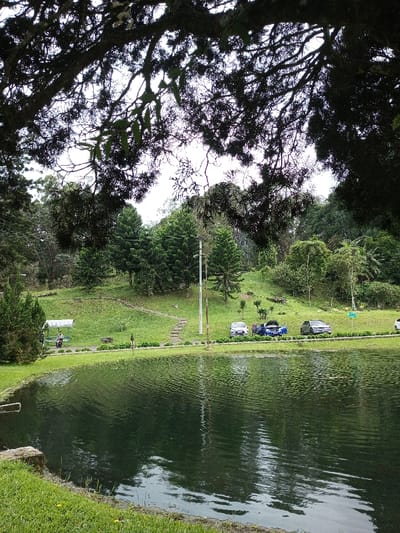 The image displays an outdoor scene in Ambositra, Madagascar, featuring a body of water in the foreground. Dark, silhouetted tree branches and foliage partially obscure the upper portion of the frame. The water's surface shows ripples. A grassy bank curves along the left and bottom edges of the water, with a small concrete or stone structure partially visible at the water's edge on the far left.

Across the water, a paved pathway runs horizontally. Behind this path, a gently rising grassy slope is visible, dotted with various trees, primarily evergreens. On the left side of the slope, a white-roofed shelter with a green roof is present, beneath which two individuals are observed, one appearing to be seated on a motorcycle. A winding stone staircase ascends the grassy slope to the left of the pathway. To the right, three passenger vehicles are parked along the path: a silver sedan, a blue car with its hood open (suggesting maintenance or inspection), and a dark grey sedan. A single light pole stands behind the parked vehicles. The background consists of multiple tree-covered hills, extending towards an overcast sky.