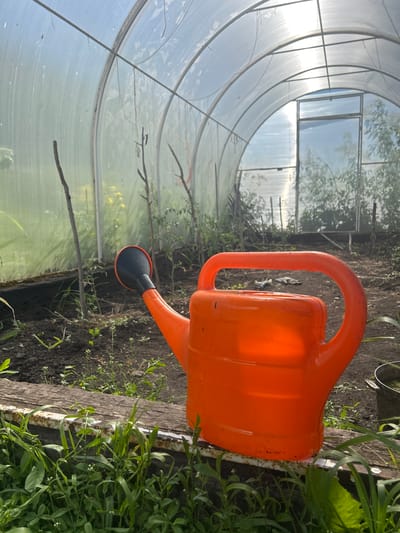 An orange watering can with a black nozzle rests on a wooden plank in a greenhouse. The greenhouse has a curved roof made of translucent plastic. Inside, the ground is dark soil with some scattered debris. A few green plants are visible, some appearing to be young tomato plants. The scene is lit by natural sunlight filtering through the greenhouse walls, creating a bright and slightly hazy atmosphere. In the background, the greenhouse extends to a door. The overall setting suggests a garden or small farm. The location of 115 Km, Russia, is mentioned in the prompt but not visually verifiable from the image alone.