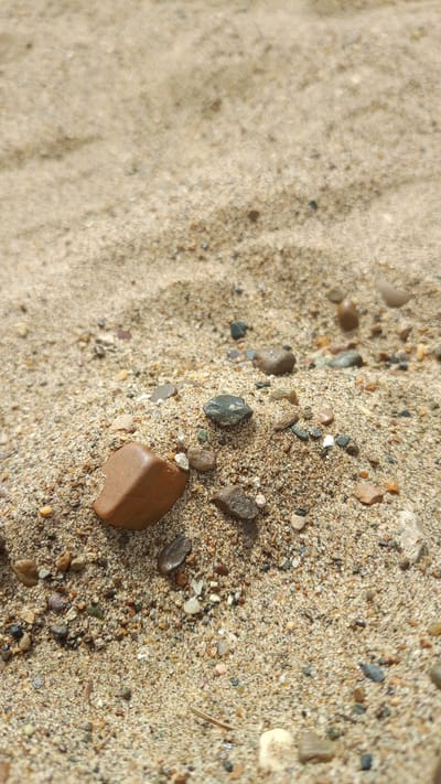 The image displays a close-up, ground-level view of a sandy surface interspersed with various small, smooth pebbles and rocks, located in Шолья, Russia. The foreground and mid-ground are in sharp focus, while the background exhibits a shallow depth of field, rendering the distant sand blurry.
The dominant features are a collection of rounded to sub-angular rocks embedded in a light tan, fine-grained sand. A prominent reddish-brown, somewhat rectangular rock is positioned in the lower-left quadrant. Other rocks vary in color, including dark grey, black, lighter grey, brown, and some with white or translucent appearances. Many of these stones appear wet or polished, indicating recent exposure to water or natural smoothing. The sand in the focused area appears damp, with visible individual grains and small sediment particles. The background shows subtle ripples or undulations in the sand, characteristic of natural deposits. No human subjects, animals, or man-made structures are present in the scene. The lighting is natural and diffuse, casting minimal discernible shadows.