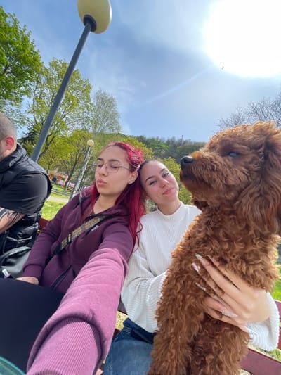 The image depicts two women and a brown poodle dog outdoors. One woman, with red hair and glasses, is wearing a purple sweatshirt. The other woman, with her hair pulled back, is wearing a white sweater and jeans. The dog is held by the woman in the white sweater. A man with tattoos is seated nearby. A light post, trees, and a grassy area can be seen in the background. The location is in Nikopol, Bulgaria.