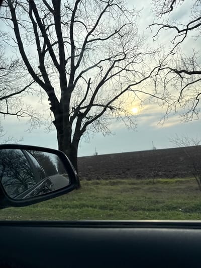 This image depicts a rural roadside environment in Pishurka, Bulgaria, observed from within a vehicle. In the foreground, the dark upper frame of the vehicle's window and a black passenger side mirror are visible. The mirror reflects a paved road receding into the distance, flanked by bare trees, and a portion of the vehicle's dark exterior. Outside the vehicle, a prominent, leafless deciduous tree with an extensive network of dark branches stands in the left-center, silhouetted against a pale, overcast sky. To the right of the tree, a strip of sparse green grass borders a large, dark brown field of freshly tilled earth, extending towards the horizon. A pale yellow sun, appearing as a diffuse orb, is visible through a break in the clouds in the upper right quadrant of the sky, partially obscured by the tree branches. The scene conveys a late autumn or winter setting. No human subjects are discernible.