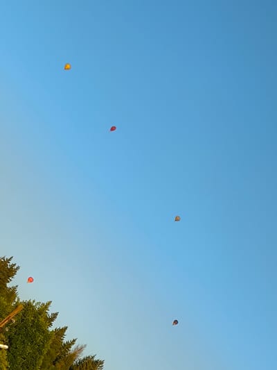 In a clear blue sky above Новоникольское, Russia, six hot air balloons are visible. The balloons are scattered across the frame at varying altitudes. The lower left corner of the image features the tops of green trees and a pole, suggesting an outdoor setting near a wooded area. The balloons are colored red, yellow, and a striped pattern.