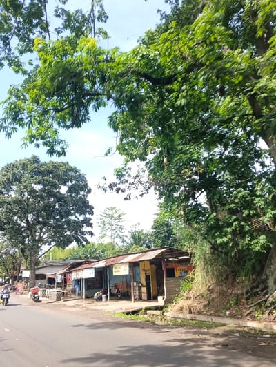 A roadside scene depicts a row of small shops with corrugated metal roofs under the shade of lush trees. Motorbikes and people are present. The vegetation is overgrown on the side of the road. The sky is partly cloudy. The road itself is paved and occupies the lower portion of the image.