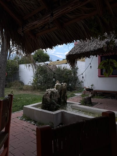 This image depicts an outdoor patio or garden area located in Santiago, Mexico. The scene is devoid of people and active interactions.

In the immediate foreground, partial views of two reddish-brown wooden chairs with woven backs are visible on either side, framing the lower portion of the image. Overhead, a dark, densely thatched roof structure extends into the frame from the top, providing shade. A string of exposed bulb lights is suspended from this thatched roof, curving across the midground.

The central feature is a rectangular, light-colored concrete or stone water fountain. It forms an L-shape, containing water and two prominent, moss-covered rock formations. Small white stones are placed on top of these rocks. The fountain is situated on a red brick patio surface.

To the left of the fountain, the brick patio transitions into a grassy area with sparse green vegetation and small white flowers. A tree trunk is visible at the far left edge of the frame. Beyond the grassy area, a white plastered wall runs horizontally across the midground, with some dark foliage growing on it.

To the right of the fountain, the red brick patio continues towards a white building with a window framed in reddish-pink. This building also features a smaller, dark thatched roof, from which a potted plant with large green and reddish leaves hangs. A wooden bench is positioned against the white building. A tree stump rests on the brick patio near the bench.

In the background, beyond the white wall and foliage, additional trees and what appear to be structures covered with tan or yellow tarpaulins are visible. The distant horizon reveals a hazy, light blue mountain range under a light blue sky with scattered white clouds.
