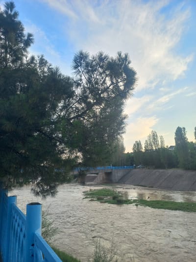 The image depicts a view of a river flowing alongside a concrete embankment, with lush green trees and a bright blue sky overhead. The river water appears murky and carries a significant amount of sediment, suggesting it might be a result of recent rainfall or heavy flow. A section of a blue railing is visible in the foreground, adding a pop of color to the natural landscape. The embankment suggests an urban or semi-urban setting, possibly a park or a waterfront area. The presence of trees, particularly pine trees with their distinctive needle-like leaves, indicates a temperate climate. The sky is a vibrant blue with streaks of white clouds, hinting at a clear and pleasant day. The overall mood of the image is serene and natural, inviting contemplation. The lighting suggests it is either morning or late afternoon, given the soft, diffused light. There is no visible text in the image. The setting is likely Kasansay, Uzbekistan, as indicated by the provided location context.