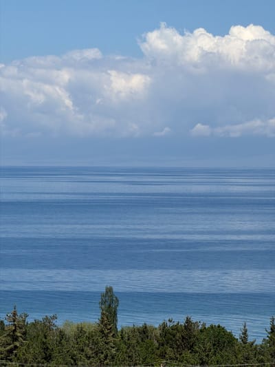 A wide shot captures the vast expanse of Issyk-Kul Lake under a bright, partly cloudy sky. The water is a deep blue, with subtle horizontal lines indicating gentle ripples across its surface. The horizon line is sharp, separating the water from the sky. In the distance, a hazy, lighter blue layer suggests land or a more distant body of water. The foreground is dominated by a dense line of dark green evergreen trees, with a single taller, lighter green deciduous tree rising above the rest. The trees form a thick, natural border along the bottom of the frame. The overall impression is one of a serene natural landscape, likely taken from an elevated position overlooking the lake.