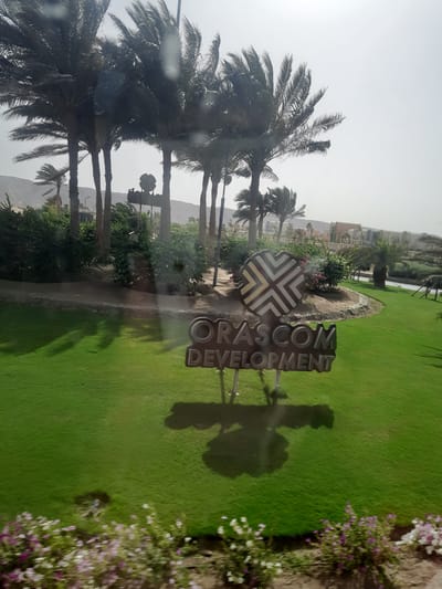 The image captures a scene in El Gouna, Egypt, featuring the Orascom Development sign set against a backdrop of palm trees, manicured lawns, and residential buildings in the distance. The foreground includes vegetation and flowers along the perimeter. The perspective is potentially from a vehicle window, hinted by possible reflections, adding a layer of complexity to the composition. Shadows are visible on the lawn from the sign and what appear to be people nearby. The sky is overcast.