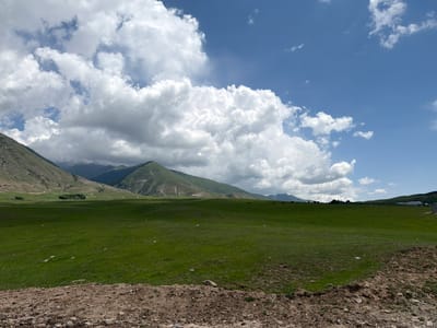 This image depicts a vast, rolling green grassland under a bright blue sky dotted with fluffy white clouds. In the background, majestic, sparsely vegetated mountains rise, with their slopes casting shadows across the meadow. A cluster of trees is visible in the mid-ground, adding a touch of contrast to the landscape. Several dark, indistinct shapes, possibly horses, are scattered across the field in the middle distance. In the far distance, a few small structures, including what appears to be a building with a blue roof, are discernible. The foreground is dominated by a patch of dry, sandy earth with scattered stones and sparse vegetation. The scene is likely a rural landscape, potentially in or near Semenovka, Kyrgyzstan, given the characteristic mountain and grassland environment.