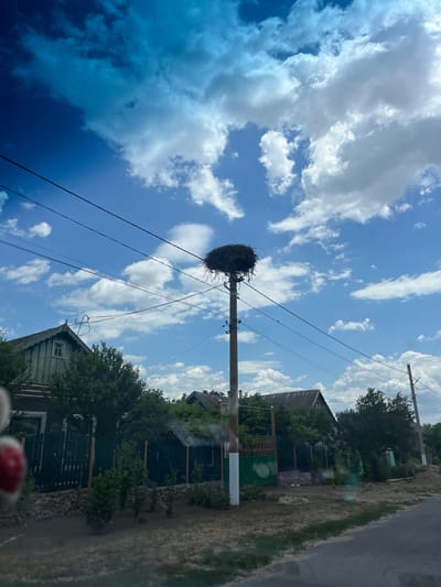This is a photograph taken from a low angle, looking upwards at a bright blue sky filled with scattered white clouds. The image is oriented vertically, with the sky dominating the upper portion. A utility pole stands prominently in the center, with a large, dark stork's nest built on top of it. Several power lines extend from the pole, crisscrossing the sky. To the right of the utility pole, a few houses are visible, partially obscured by lush green trees. The houses appear to be made of wood and have dark roofs. A dirt road runs alongside the houses on the right side of the frame. The lighting suggests it is daytime, likely midday, with bright sunshine. The weather appears to be fair with a mix of sun and clouds. The scene depicts a rural setting in Chernove, Ukraine, with a common sight of a stork's nest on a utility pole, a characteristic feature of the Ukrainian landscape. There is no visible text in the image. The overall mood is one of natural beauty and tranquility.