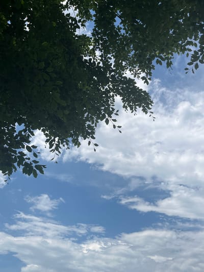 The image is an upward-facing shot of a blue sky with scattered white clouds, partially obscured by the dark green foliage of tree branches in the upper left quadrant. The perspective suggests the viewer is standing beneath a tree, looking towards the sky. There are no people, buildings, or any other recognizable landmarks visible in the frame, which makes it impossible to determine the specific location within Oberammergau, Germany, or any other city. The lighting indicates it is daytime, likely under clear or partly cloudy skies.