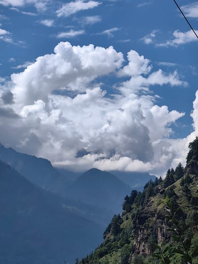 The image depicts a dramatic mountain landscape under a bright blue sky filled with voluminous white and gray clouds. In the foreground, a steep, rocky slope covered with lush green trees, predominantly pine trees, dominates the right side of the frame. The trees are dense and grow on the uneven terrain, with visible rock formations and cliff faces.
In the middle ground, layers of majestic, mist-shrouded mountains recede into the distance, their forms softened by atmospheric haze. The mountains are depicted in various shades of blue and gray, creating a sense of depth and scale. The lower slopes of these mountains are also dotted with sparse greenery.
The sky is a vibrant blue, broken by a large, dramatic formation of white cumulus clouds that fill a significant portion of the upper frame. These clouds appear textured and three-dimensional, with areas of bright white where they catch the sunlight and darker, shadowed portions. Smaller, wispy clouds are scattered throughout the sky.
The scene appears to be a natural, mountainous environment. There are no visible people or animals in the image. The overall impression is one of grandeur, natural beauty, and a sense of isolation. The presence of power lines subtly visible at the bottom left suggests some human infrastructure in the vicinity, though the focus remains on the natural elements. This scene is consistent with the mountainous terrain found in regions like Chhyal, India, known for its breathtaking Himalayan vistas.