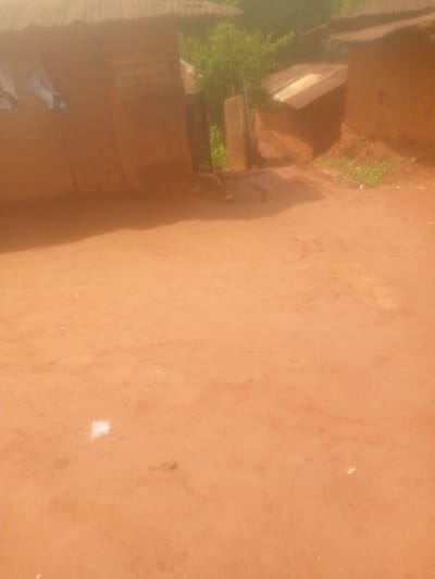 The image depicts a rustic scene in Mayo Ndaga, Nigeria, likely a rural village setting. The foreground is dominated by a reddish-brown dirt path or ground, suggesting dry weather conditions. In the background, traditional mud-brick buildings with corrugated metal roofs are visible, characteristic of the region.
To the left, one building has items, possibly laundry or posters, attached to its exterior wall. Adjacent to this building, a narrow pathway leads between structures, suggesting a street or alleyway. Further into the scene, another mud-brick structure with a metal roof is partially visible. Green foliage, likely trees and bushes, grows around the buildings, indicating a natural, vegetated environment.
The overall impression is one of everyday life in a village, with no specific event or activity clearly depicted. The lighting suggests it could be daytime, with the sun casting shadows, though the exact time of day is difficult to determine due to the overall image quality. No visible text is discernible in the image. The scene appears peaceful and ordinary, reflecting the typical landscape of rural Nigeria.