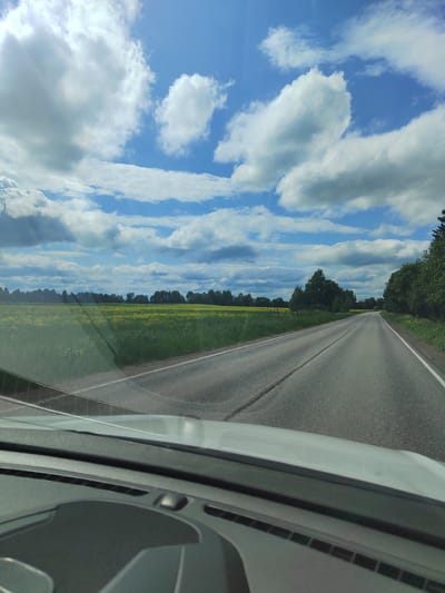 The image depicts a view from inside a vehicle, looking out through the windshield. The vehicle is on a paved road that curves to the right and disappears into the distance. To the left of the road is a vast, flat field of bright yellow flowers, likely rapeseed. The field is bordered by a line of trees in the distance, and further beyond them, a dense forest. The sky above is a bright blue, with scattered, puffy white clouds. The foreground of the image shows the dashboard and interior of the vehicle. The overall impression is one of a scenic drive through a rural landscape under a partly cloudy sky. There are no people or animals visible in the image.