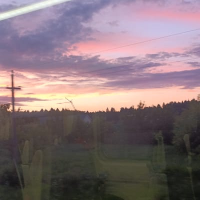 The image shows a sunset sky with hues of pink, purple, and yellow over a silhouetted treeline and landscape. Power lines are visible against the sky. In the foreground, there are blurred reflections on what appears to be glass, showing distorted shapes that could be plants or structures. The scene is set during twilight in the vicinity of Шемордан, Russia.