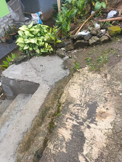 An outdoor scene with concrete steps leading up to a concrete platform. The platform abuts a raised garden bed with green foliage and a small collection of potted plants. A scattering of rocks and debris line the edge of the garden. The concrete surfaces are weathered and stained, with some moss growing along the edges. A gray wall stands in the background, partially obscured by plants.