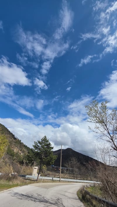 The image depicts a rural mountainous landscape in Jeleznitsa, Bulgaria, under a bright, partly cloudy sky. The upper two-thirds of the frame are dominated by a clear blue sky interspersed with scattered white cumulus and cirrus clouds.

In the foreground, a light grey asphalt road forks, with the left path curving uphill and to the left, and the right path curving uphill and to the right. Shadows, likely from unseen trees or poles, are cast across the foreground road from the left. A metal guardrail is visible along the right edge of the right fork. Patches of dry grass and bare earth line the roadside.

To the left of the road fork, a steep mountain slope rises, covered in a mix of deciduous trees with sparse early spring foliage and several evergreen pine trees, one tall and prominent near the fork. Further up this slope, behind a section of guardrail, a light-colored, possibly concrete, utility structure is partially visible.

In the midground-right, a wooden utility pole with attached power lines stands beside the right fork of the road. Further right, a cluster of bare deciduous trees with thin branches showing nascent buds is present.

The background features a dark, heavily vegetated mountain range. Across the mid-distance, an elevated multi-lane highway or bridge structure spans horizontally, with what appears to be a blue truck visible upon it. No individuals are present in the scene. The lighting indicates daytime conditions, likely early spring given the tree foliage.