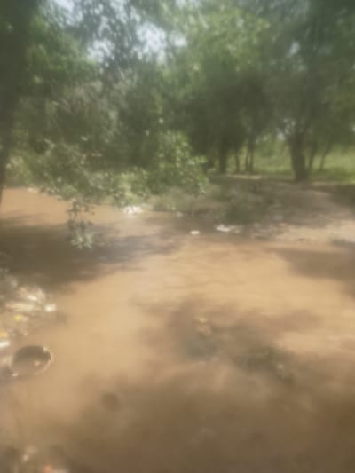 The image depicts a muddy, flooded area with trees in the background. There appears to be debris floating in the water, suggesting it is a natural body of water that has overflowed its banks, possibly due to rain or a natural disaster. The water is a murky brown color, indicating a high sediment content. The trees are lush and green, suggesting a warm climate. The overall scene conveys a sense of disarray and natural disruption. The exact location in Navobod, Tajikistan, is not specified, but the environment is consistent with a rural or natural setting within the region.