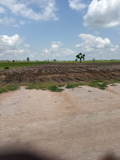 This media file is a photograph of a rural landscape in Garin Dogo, Nigeria. The image is oriented vertically, with the sky occupying the left half and the ground the right half. The sky is a pale blue, dotted with fluffy white clouds. 

The ground is divided into two distinct sections. The left side shows a field that appears to have been recently plowed, with dark brown soil arranged in neat furrows. Patches of green grass and a few scattered trees are visible throughout the field. The most prominent tree in the foreground has a distinctive, multi-branched shape. In the background, a line of trees marks the distant horizon.

The right side of the ground is a lighter, sandy or dusty surface, possibly a path or uncultivated land. A thin strip of green grass separates the plowed field from this lighter surface. A few dark spots, potentially animal droppings, are visible on the sandy ground.

The lighting suggests it is daytime, likely late morning or early afternoon, with the sun casting a gentle light. The weather appears to be fair, with clouds indicating a possibly humid or approaching rainy season. The overall impression is one of a rural agricultural setting, likely in the midst of farming activities or preparation. No people, objects, or text are clearly discernible in the image.