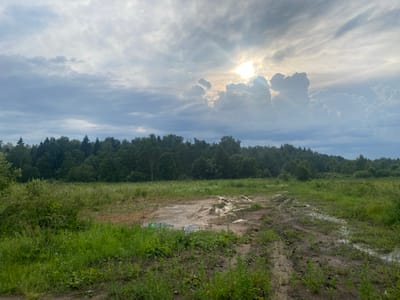 An outdoor, wide-angle, eye-level shot captures a grassy field with a muddy patch in the foreground under a cloudy sky with the sun peeking through. The field is covered in lush green grass, with some patches of bare earth and muddy puddles. A tire track is visible in the mud, suggesting vehicle passage. In the middle ground, a dense line of green trees forms a backdrop, and the horizon is lined with more trees. The sky is overcast with dramatic clouds, and the sun's rays are visible, casting a soft light on the scene. The location is identified as Заволжский, Russia. There are no people or animals present.