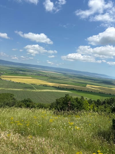 A vibrant landscape shot captures a panoramic view of the rural area of Medovo, Bulgaria, under a clear blue sky. The image appears to be taken from an elevated position, looking down over a vast expanse of agricultural land on a sunny day.
The sky, occupying the upper portion of the frame, is a brilliant blue with scattered, fluffy white cumulus clouds. The sunlight is bright, suggesting a mid-day setting, illuminating the scene distinctly.
In the foreground, on the right side, there is a dense growth of tall, wild grasses and other herbaceous plants. Numerous small yellow wildflowers and scattered white blossoms are visible among the green foliage, adding pops of color. A line of lush green trees forms a natural boundary between this wild foreground and the cultivated fields beyond.
The mid-ground and background are dominated by a patchwork of agricultural fields. These fields display various shades of green, yellow-green, and golden yellow, indicating different crops at different stages of growth. They are arranged in long, rectangular strips, creating a distinct mosaic pattern across the landscape. Faint lines, possibly roads or paths, can be seen cutting through some of these fields. In the far distance, a small cluster of buildings suggests a village or settlement nestled within the farmland.
The horizon is marked by the hazy outlines of distant hills or mountains, blending softly into the sky. The overall scene conveys a sense of peaceful, fertile countryside. No people or visible text are present in the image.