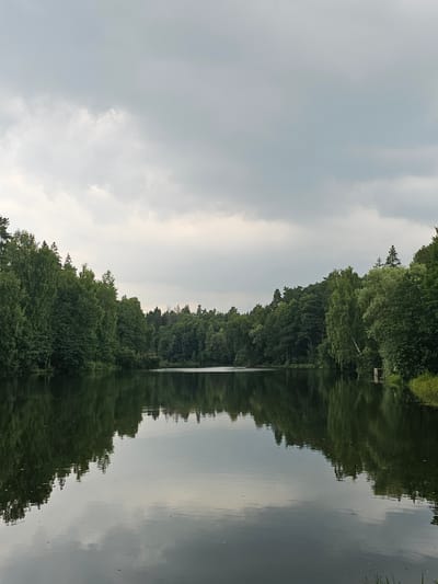 The image depicts a serene natural landscape at a lake located in Ulitkino, Russia. The sky is overcast with grey clouds, contributing to a diffused natural light. Dense, lush green trees line the banks of the lake, creating a verdant border. The still water of the lake perfectly mirrors the trees and the sky, creating a symmetrical and tranquil scene. In the distance, on the right bank, a small wooden structure, possibly a pier or a small dock, is visible amidst the trees. There are no people or animals visible in the frame. The environment appears calm and undisturbed.