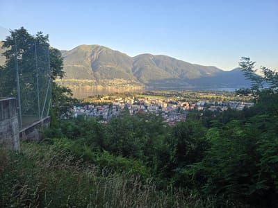 This is an eye-level, medium shot of a town nestled along a lake, with mountains in the background, as seen from a hillside covered in overgrown grass and foliage. In the foreground, tall, dry grasses and lush green bushes dominate, with a concrete wall and chain-link fence visible on the left, partially obscuring a tree. Beyond the vegetation, a densely populated town with multi-story buildings, many with balconies, stretches across the landscape. A wide body of water, likely a lake, separates the town from the imposing, tree-covered mountains that rise in the distance under a clear, pale blue sky. The lighting suggests it is either early morning or late afternoon, with the sun casting a warm glow on the distant peaks. This view is characteristic of the town of Orselina, Switzerland, overlooking Lake Maggiore and the surrounding mountains. There are no people or animals visible in the image.