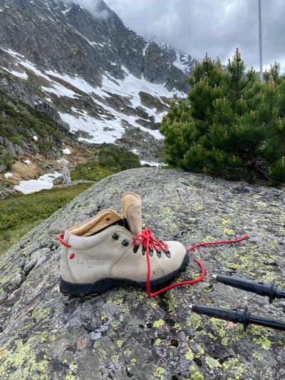 The scene depicts a mountainous alpine landscape in Innertkirchen, Switzerland, under an overcast sky. In the foreground, a light-colored hiking boot with red laces is positioned on a large, grey rock mottled with green and yellow lichen. The boot, identified by the embossed text "Le Soulor 1925," has its red laces partially undone and spread across the rock. Adjacent to the boot on the right, the tips and lower sections of two black hiking poles with silver points rest on the same lichen-covered rock.

Behind the foreground elements, a dense, dark green pine tree with numerous light-colored new growth shoots occupies the midground on the right. The terrain beyond the rock slopes downwards, featuring patches of green vegetation, exposed rock, and areas of white snow. In the distant midground, a light-colored sculpture resembling a mountain goat or ibex is visible on a small rise amidst the snowy and vegetated slopes. The background is dominated by steep, rugged mountains with extensive grey rock faces and significant snow cover. A thin, dark cable stretches horizontally across the lower parts of these mountains. The sky is completely covered by thick, grey clouds. No individuals are present in the image.