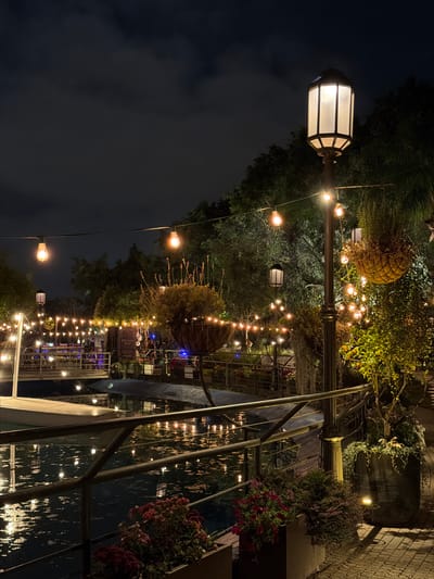 This media file captures an enchanting outdoor setting at night, likely a restaurant patio, garden, or event space in Nir Eliyahu, Israel. The scene is dominated by a warm, inviting ambiance created by numerous artificial lights.
A large, traditional-style post lamp with a frosted glass enclosure stands prominently on the left side of the frame, emitting a soft glow. Strands of numerous Edison-style string lights are artfully draped across the area, casting a golden hue over the surrounding greenery and structures.
Lush green trees and bushes form a dense backdrop, with additional potted plants and hanging baskets adding to the verdant feel. One prominent hanging basket, possibly woven, is visible near the center. Red and pink flowers can be seen in planters towards the right, adding pops of color.
Structural elements include metal railings or supports, suggesting a multi-level or terraced design. On the right, a dark, textured wall, possibly made of stone or brick, adds a rustic touch, alongside a large, dark pot or barrel overflowing with foliage. In the lower half of the image, a shimmering, dark surface reflects the string lights, creating dazzling streaks of light. This could be a body of water, such as a pond or pool, or a highly reflective wet ground.
The overall impression is one of serene beauty and cozy charm, suggesting a tranquil spot for evening relaxation or dining. No specific human activity is visible, but the setup implies a social gathering space. There is no discernible text in the image.