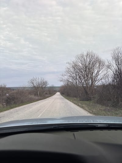 The image depicts a rural asphalt road in Suhache, Bulgaria, viewed from inside a vehicle. The lower frame shows a grey vehicle dashboard and the lower edge of the windshield. The road, exhibiting surface wear and faded white markings, extends centrally into the distance, appearing to undulate slightly under an overcast, light grey sky. Bare, leafless deciduous trees and dense shrubs line both sides of the road. A prominent, continuous line of tall, bare trees and undergrowth borders the right side. The left side features sparser bare vegetation, beyond which open fields extend to a distant horizon with a subtle green band of land. No individuals or active interactions are visible within the frame.