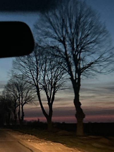 The scene captures an exterior view from a vehicle in Bezvoditsa, Bulgaria, during twilight hours. A dark, rounded rearview mirror obstructs the upper left portion of the frame. Dominating the middle ground are several silhouetted deciduous trees, bare of foliage, indicating a non-foliage season. The sky exhibits a gradient of color, from deep blue-grey overhead to a distinct band of pink and purple transitioning into red along the horizon. The distant landscape below the horizon appears as a dark, level expanse. A segment of a road, illuminated by a warm, yellow light source, occupies the lower left foreground. No individuals or specific activities are discernible.