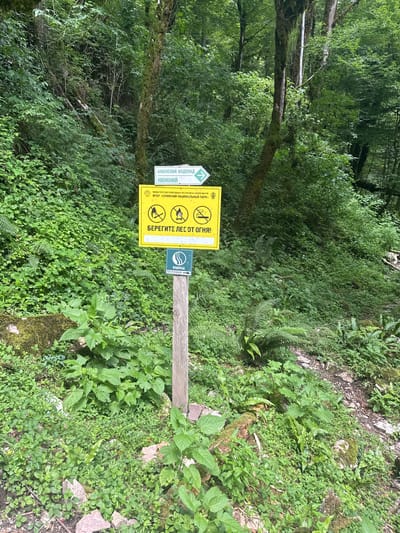 This image depicts a signpost in a lush, green forest environment, likely located near Azhek, Russia, given the text on the signs. The signpost is made of a weathered wooden pole and displays multiple signs.
The uppermost sign is a directional arrow pointing to the right with the text "АЖЕКСКИЙ ВОДОПАД" (Azhersky Waterfall) and "НИЖНИЙ" (Lower) below it.
Below this, a larger rectangular yellow sign features a warning symbol with three icons representing fire: a campfire, a burning match, and a burning cigarette, all crossed out. The text on this sign reads "БЕРЕГИТЕ ЛЕС ОТ ОГНЯ!" (Save the forest from fire!). Above this warning text, there is smaller print that says "МИНИСТЕРСТВО ПРИРОДНЫХ РЕСУРСОВ И ЭКОЛОГИИ РФ" (Ministry of Natural Resources and Ecology of the Russian Federation) and "ФГБУ «СОЧИНСКИЙ НАЦИОНАЛЬНЫЙ ПАРК»" (FSBI "Sochi National Park").
The lowest sign on the pole is circular with a blue border and a white wavy symbol, indicating water. It has the text "ВОДОПАД" (Waterfall) and an arrow pointing to the right.
The surrounding environment is densely vegetated with various shades of green foliage, including ferns and broadleaf plants. The ground is covered with moss, rocks, and fallen leaves. The lighting suggests it is daytime with dappled sunlight filtering through the tree canopy. There are no people visible in the image.