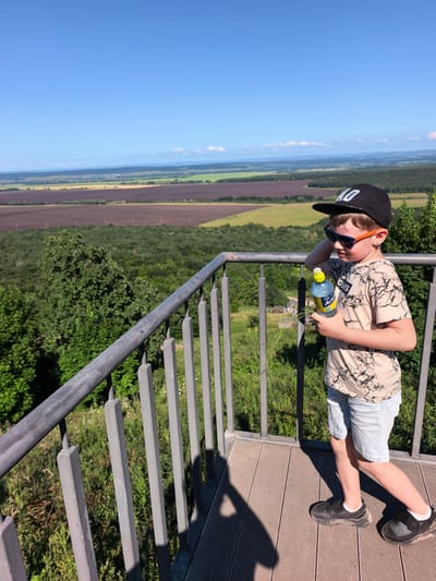 A boy wearing a black baseball cap, sunglasses, a t-shirt, and denim shorts stands on a wooden platform with a metal railing. He holds a bottle of water in his right hand. The platform overlooks a vast landscape of green trees and brown and green fields under a clear blue sky. The location is in Akhmerovo, Russia.
