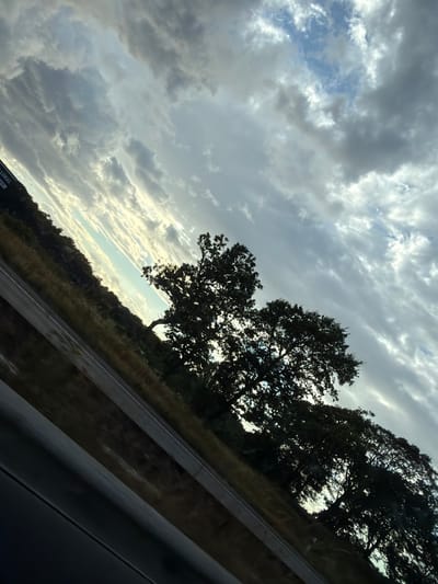 The image is a tilted, horizontal shot of a landscape, likely taken from a moving vehicle. In the foreground, the dark, blurred shape of a car interior edge is visible. The middle ground shows a road with two lanes, bordered by dry, golden grass and foliage. Silhouetted against a bright, cloudy sky are several large, leafy trees. The sky itself is filled with dynamic, streaky clouds in shades of gray and white, with patches of blue peeking through. The lighting suggests either early morning or late afternoon. There are no people or animals visible in the frame. The environment appears rural. The location is not identifiable from the image itself.