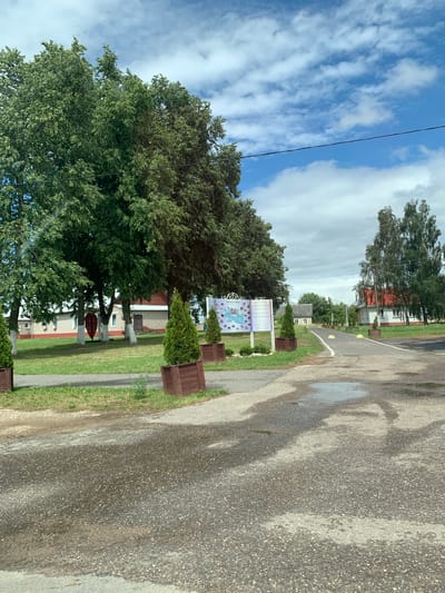 This is a photograph of a rural road in the Цімкавіцкі сельскі Савет, Belarus. The road is wet, indicating recent rain, with puddles visible. On the left side of the road, there are several large trees and some buildings with red roofs. In the foreground, there are two small evergreen trees in wooden planters. To the right of the road, there are more trees and buildings, including a white house with a red roof. A signpost with a map and information is visible on the left, near the evergreen trees. The sky is blue with scattered white clouds.
