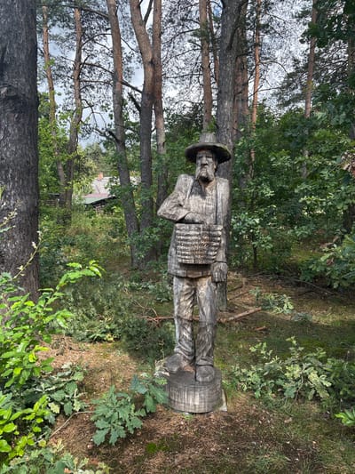 The image depicts a wooden sculpture of a man in a forest setting. The sculpture is life-sized and appears to be carved from a single log, with detailed features like a hat, beard, clothing, and a basket. The man is standing on a wooden base.

The surrounding environment is a dense forest with tall pine trees and lush green undergrowth. Sunlight filters through the trees, creating dappled light on the forest floor. In the background, partially visible through the trees, is a rustic building with a green roof and a stone chimney, suggesting it is likely a dwelling.

The location is identified as Sielachowskie, Poland. The overall scene evokes a sense of rustic charm and connection to nature.