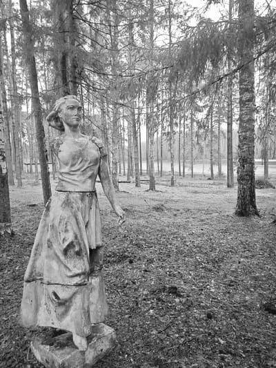 This monochrome image, captured in Mishkino, Russia, presents a weathered statue of a woman situated within a dense, natural forest setting. The statue, made of concrete or stone, occupies the left foreground, standing on a simple rectangular plinth. It depicts a woman with a classical or naturalistic appearance, her hair pulled back and wearing a simple dress. She gazes towards the right with a serene, perhaps pensive, expression.

The statue shows significant signs of age and wear: its left arm is entirely missing, and the right arm is broken above the elbow, with only the forearm and hand remaining, which appears to be holding a small, indistinct object. Cracks and erosion are visible across her torso and flowing skirt.

The background features numerous slender tree trunks, likely a mix of birches and conifers, with many appearing bare or having sparse foliage, characteristic of late autumn, winter, or early spring. The forest floor is covered with a thick layer of fallen leaves, pine needles, and dry undergrowth. In the middle distance, partially obscured by trees, a small, shed-like building is visible to the left. Further in the distance, through the trees, a body of water, possibly a lake or pond, can be seen.

The scene conveys a quiet, perhaps melancholic, atmosphere under an overcast sky, indicating diffuse daylight. No specific activity is occurring, and there is no visible text in the image. The overall impression is one of a forgotten or neglected monument within a wild, yet tranquil, natural environment.