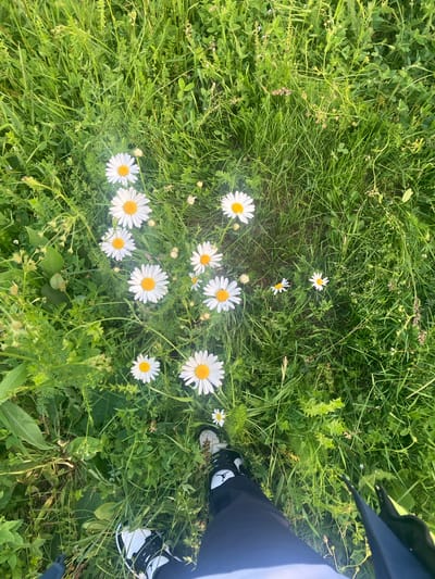 In Teghut, Armenia, a person is standing amidst a field of grass and daisies. The perspective is from above, looking down at the person's feet and the surrounding flora. The grass is lush and green, with numerous white daisies dotted throughout. The person is wearing black pants and white and black sneakers. A black object, possibly an umbrella or bag, is partially visible on the right side of the frame. The sunlight suggests it is daytime.