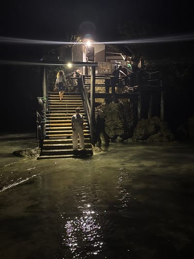 A dimly lit, possibly nighttime scene features a wooden walkway or stairs leading toward a building named "THE ROCK." Figures, possibly people, are visible on the stairs and within the structure. The walkway appears to extend into water, which reflects light, creating a shimmering effect. Rocks or natural formations surround the construction, adding to the rustic setting. Overall, the scene has a mysterious and somewhat isolated atmosphere.