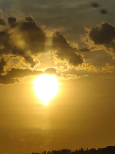 The image depicts a sunset in Пальники, Russia. A bright sun is partially obscured by clouds, emitting a strong yellow-orange glow that dominates the scene. The clouds are dark in some areas and illuminated with golden edges where the sun shines through. The sky transitions from a darker hue at the top to a vibrant orange near the horizon. Silhouetted trees or vegetation can be seen along the bottom edge of the image.
