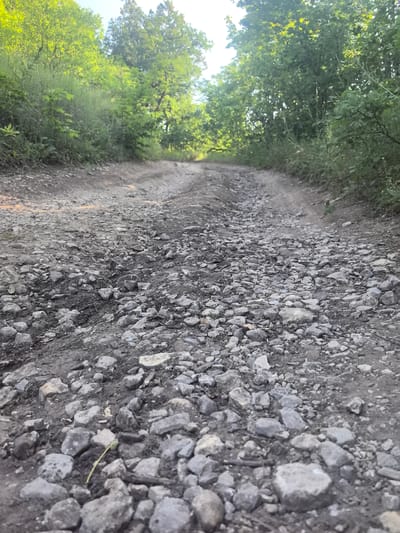 The image shows a rough, rocky, unpaved road leading into a wooded area. The road is composed of dirt and numerous stones of various sizes. Lush green trees and foliage line both sides of the road, with sunlight filtering through the leaves, creating a dappled effect. The perspective is from a low angle, close to the ground, emphasizing the texture of the road's surface. The scene depicts an outdoor, natural environment. This location appears to be in the village of Perevoloki, Russia, based on the provided information.