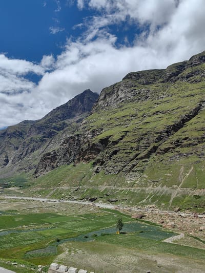 The image depicts a mountainous landscape in Koksar, India. In the foreground, there are terraced agricultural fields, some of which are planted with crops of varying shades of green. A lone tree stands in the middle of the fields. A river flows through the valley, and a road runs alongside it. The background is dominated by steep, rocky mountains covered in patches of green vegetation. The sky is blue with scattered white clouds. The scene appears to be a rural, natural environment.