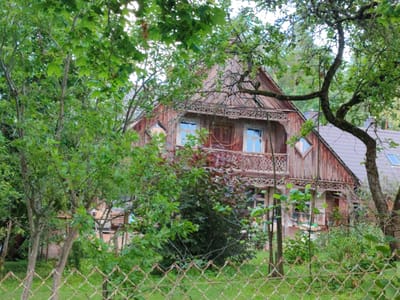 This image depicts a traditional wooden house, possibly a dacha or a rural residence, nestled amidst lush greenery. The house features intricate wooden carvings along its balcony and roofline, showcasing folk art detailing. Two visible windows on the upper floor are rectangular with white frames, and a small diamond-shaped window is also present. The house's roof is made of metal, and its walls are constructed from weathered wooden planks, suggesting age and character.
The foreground is dominated by a chain-link fence, separating the viewer from the property. Beyond the fence, a vibrant green lawn stretches towards the house. The scene is enveloped by abundant foliage, with trees and bushes in various shades of green and some with reddish-brown leaves, indicating a late summer or early autumn setting. The branches of a large tree in the foreground frame the house, partially obscuring it and adding depth to the composition. The overall atmosphere is serene and rustic, evoking a sense of quietude and natural beauty. There are no people or explicit activities visible in the image. The lighting suggests it is daytime, possibly overcast, given the diffused light and lack of harsh shadows. The location cues, such as the architectural style and the prevalence of greenery, align with a rural setting in Lithuania, specifically Birštonas. No text is visible in the image.