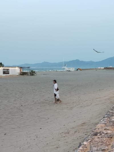 A wide, sandy beach in Canet-en-Roussillon, France, is depicted at dusk. The tide is out, revealing a vast expanse of sand. In the foreground, a man walks away from the camera, wearing a white t-shirt, dark shorts, and a baseball cap. He carries a white bag over his right shoulder. Behind him, the beach stretches to the horizon, where mountains are visible against the pale blue sky. A seagull is captured in flight in the upper right quadrant of the image. In the background, several structures are visible, including a white building with illuminated signs and a lifeguard station. The overall impression is one of quiet serenity.