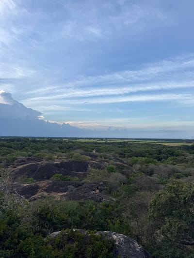 This is a landscape photograph taken from a high vantage point, looking out over a vast expanse of greenery and a cloudy sky. The image is oriented vertically, with the sky occupying the left half and the land on the right.

The sky is a dominant feature, filled with light blue hues and streaked with wispy white clouds that run horizontally across the frame, creating a sense of depth and movement. Towards the bottom left, a larger, darker cloud formation suggests potential weather changes.

The right side of the image depicts a dense, verdant forest that slopes downwards from the viewpoint. The trees are a mix of deep green foliage, interspersed with some lighter green and brown, indicating a variety of vegetation. Rocky outcrops and sheer cliffs are visible within the forest, suggesting a rugged terrain. In the far distance, a flat, cultivated landscape stretches out, possibly fields or plains, leading towards a hazy horizon. A small, white structure, possibly a building or temple, is faintly visible nestled within the trees in the mid-ground of the landmass.

The overall scene conveys a sense of natural beauty and tranquility. The light suggests it could be late afternoon or early morning, given the soft, diffused light and the angle of the clouds. The location is identified as Shastrawela, Sri Lanka, which aligns with the lush, tropical appearance of the vegetation and the hilly topography. No people or specific activities are visible, making it a serene nature shot. There is no visible text in the image.
